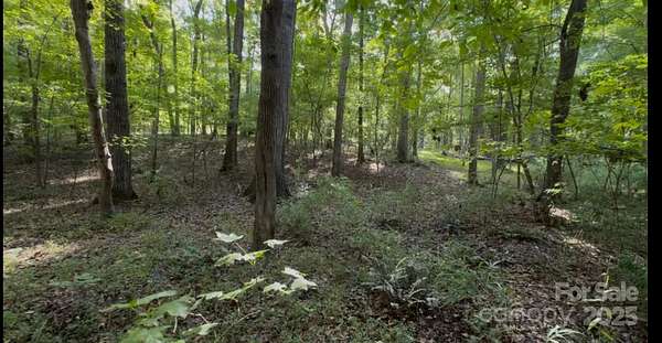 5.86 Acres of Residential Land for Sale in Waxhaw, North Carolina