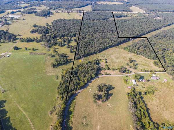 98 Acres of Recreational Land for Sale in Mount Hope, Alabama