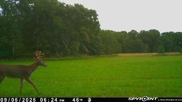 43 Acres of Recreational Land & Farm for Sale in Augusta, Wisconsin