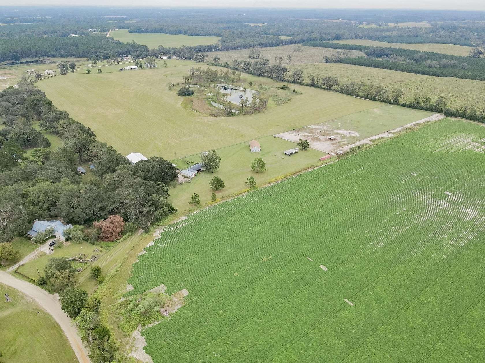 57.8 Acres of Land with Home for Sale in Madison, Florida