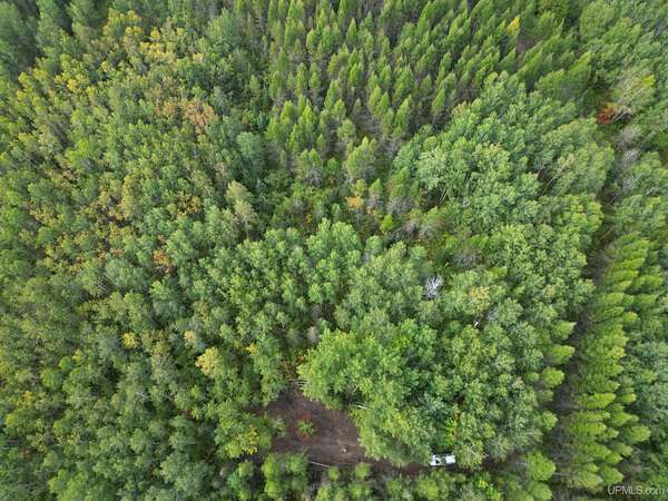 80 Acres of Recreational Land for Sale in Cornell, Michigan