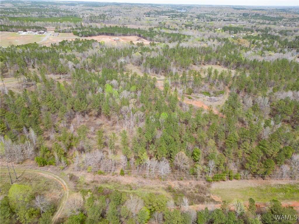 5.68 Acres of Residential Land for Sale in Coker, Alabama