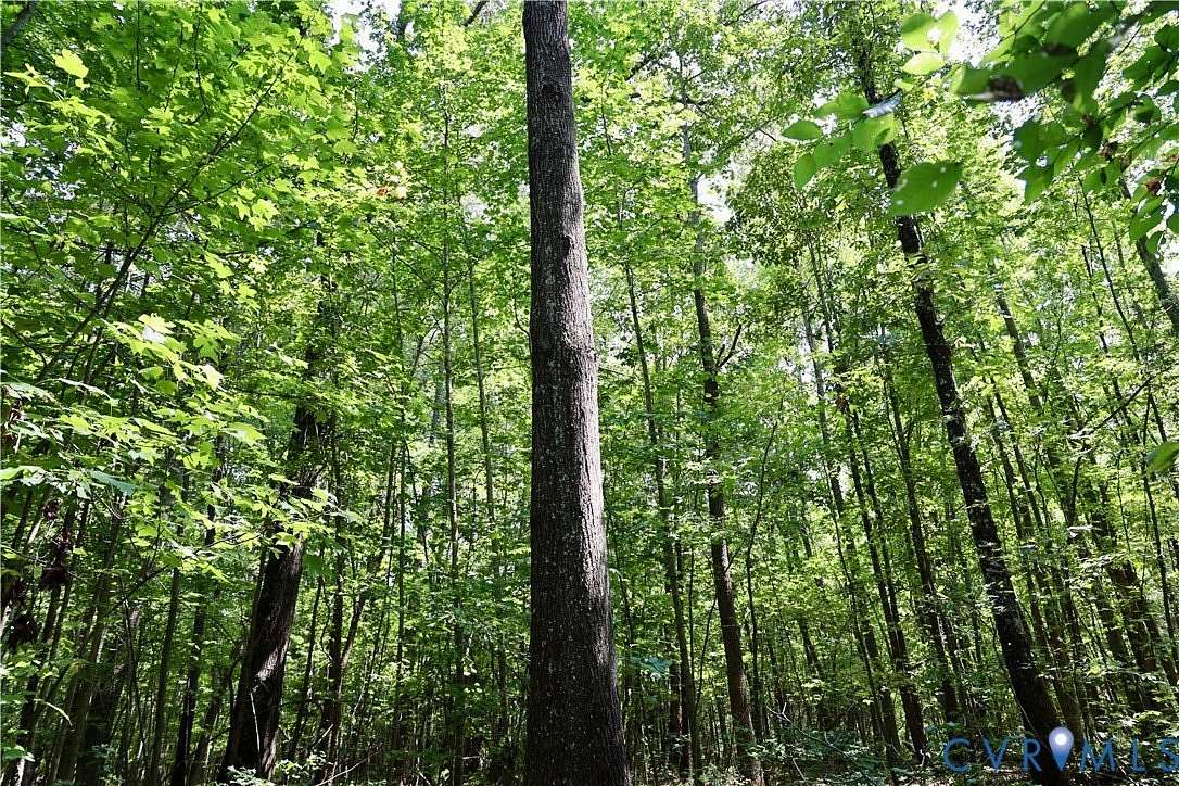 4 Acres of Residential Land for Sale in Halifax, Virginia