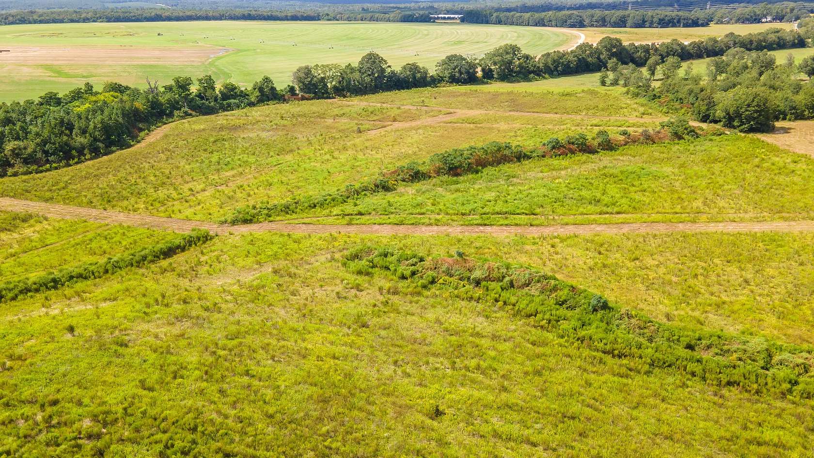 18 Acres of Land for Sale in Salley, South Carolina