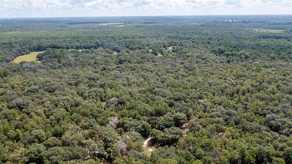 20 Acres of Recreational Land for Sale in Hawthorne, Florida