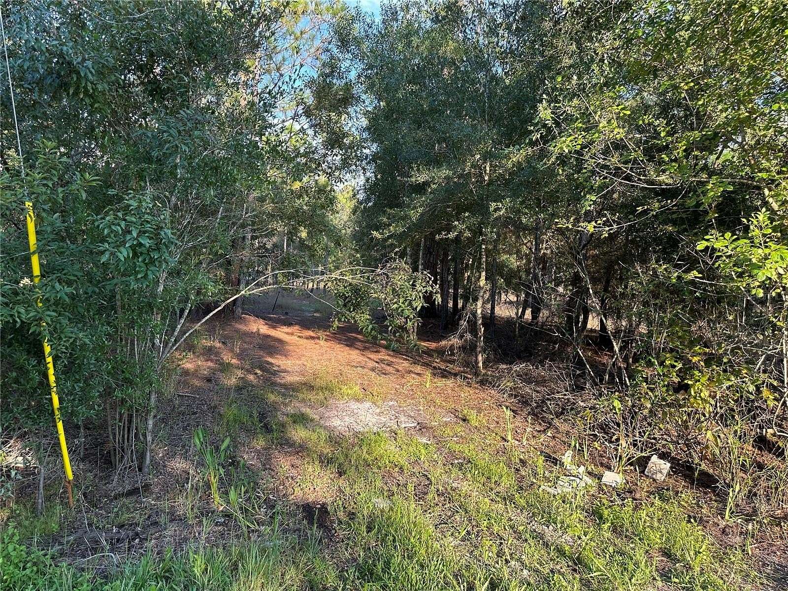 1.34 Acres of Residential Land for Sale in Webster, Florida