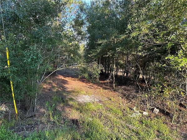 1.34 Acres of Residential Land for Sale in Webster, Florida