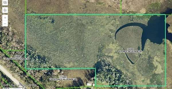 18.6 Acres of Land for Sale in Brooksville, Florida