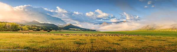 230 Acres of Improved Mixed-Use Land for Sale in Carbondale, Colorado