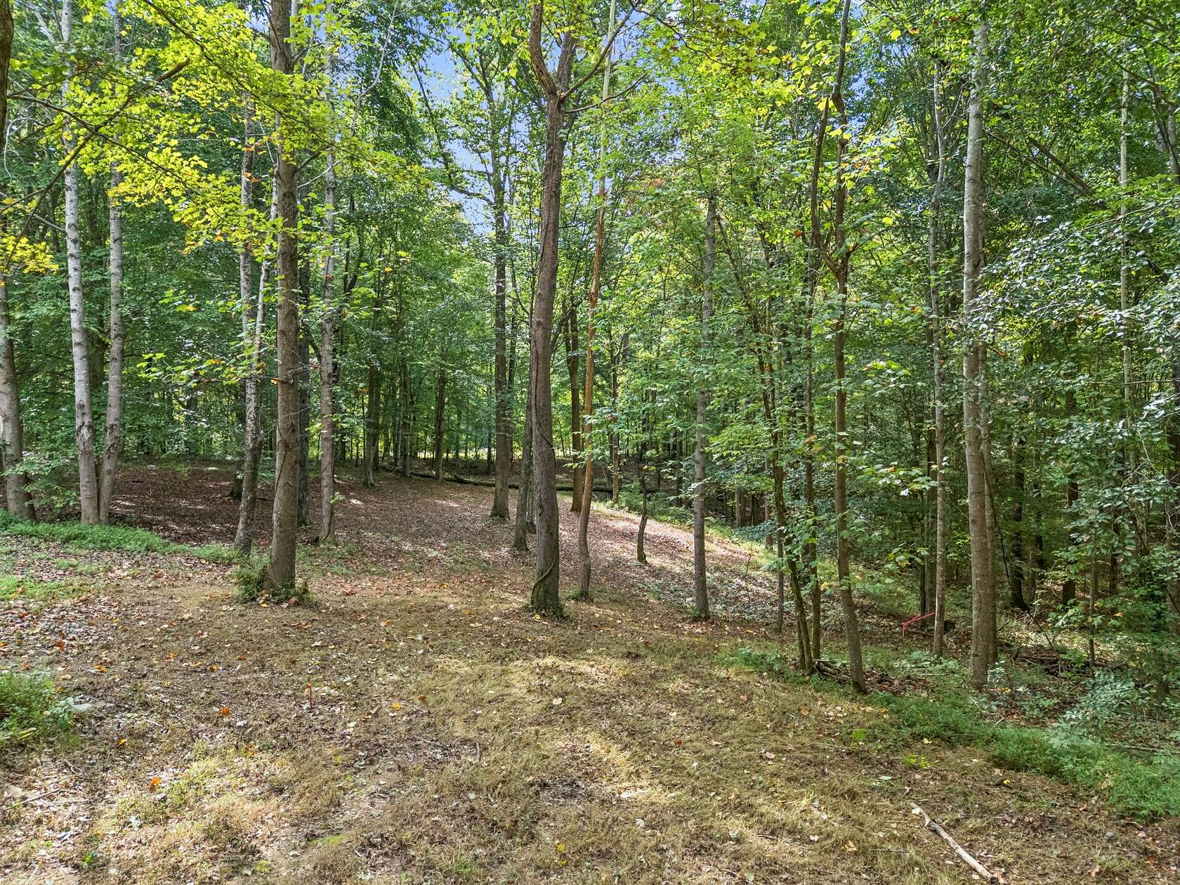5.32 Acres of Land for Sale in Bon Aqua, Tennessee