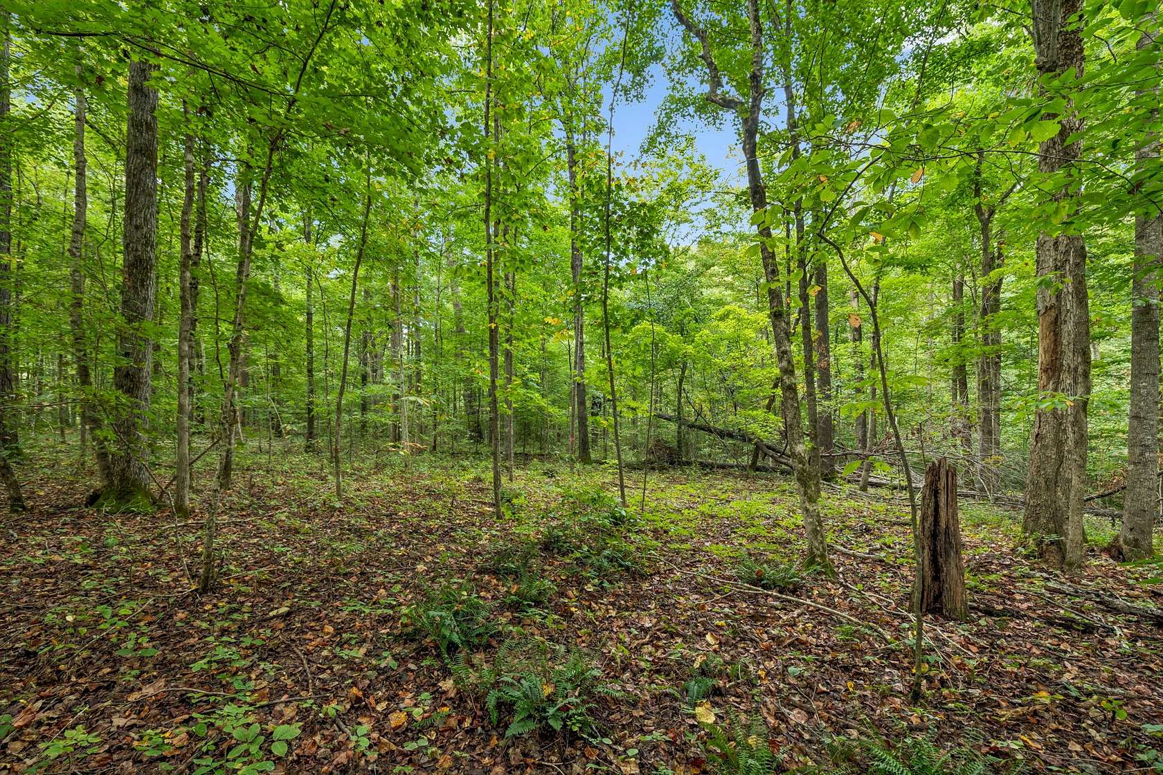 5.32 Acres of Residential Land for Sale in Bon Aqua, Tennessee