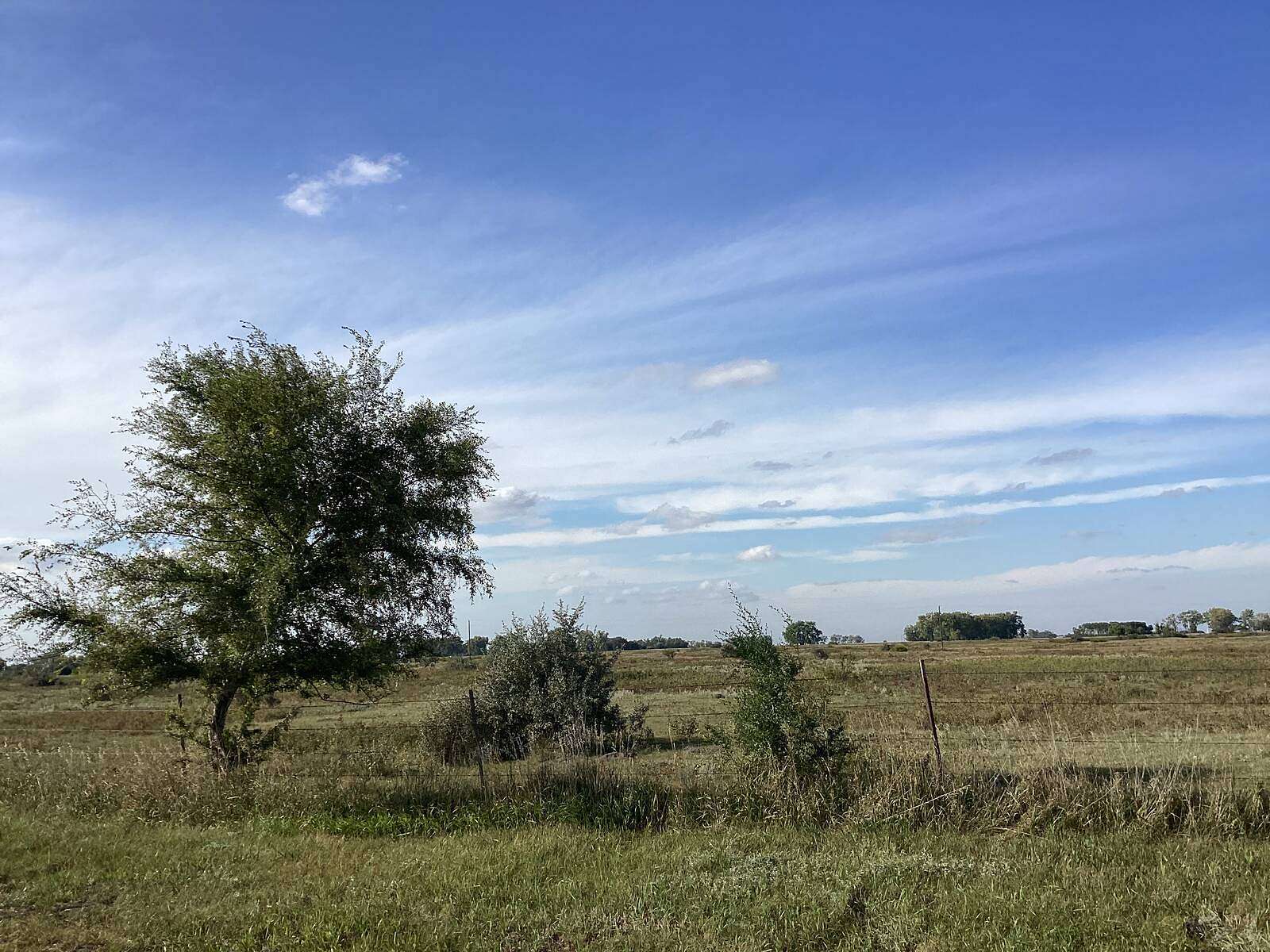 157 Acres of Agricultural Land for Sale in Bottineau, North Dakota