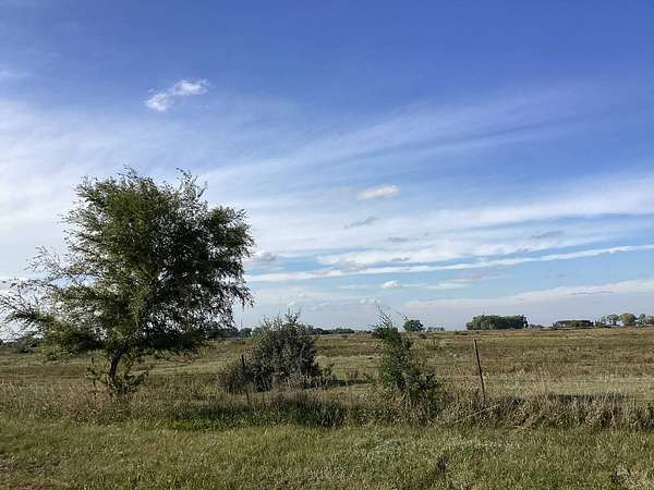 157 Acres of Agricultural Land for Sale in Bottineau, North Dakota