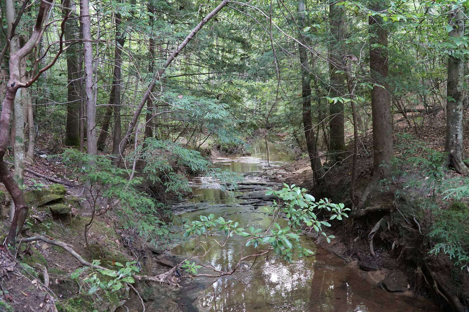 100 Acres of Recreational Land for Sale in Haleyville, Alabama