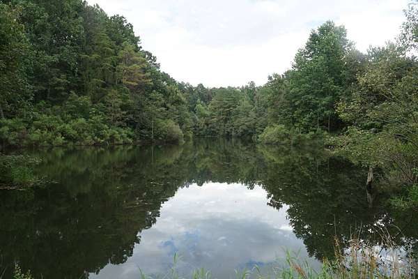 480 Acres of Recreational Land for Sale in Lynn, Alabama