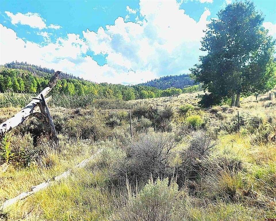 2 Acres of Residential Land for Sale in Powderhorn, Colorado