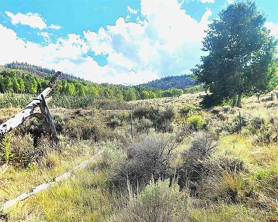 2 Acres of Residential Land for Sale in Powderhorn, Colorado