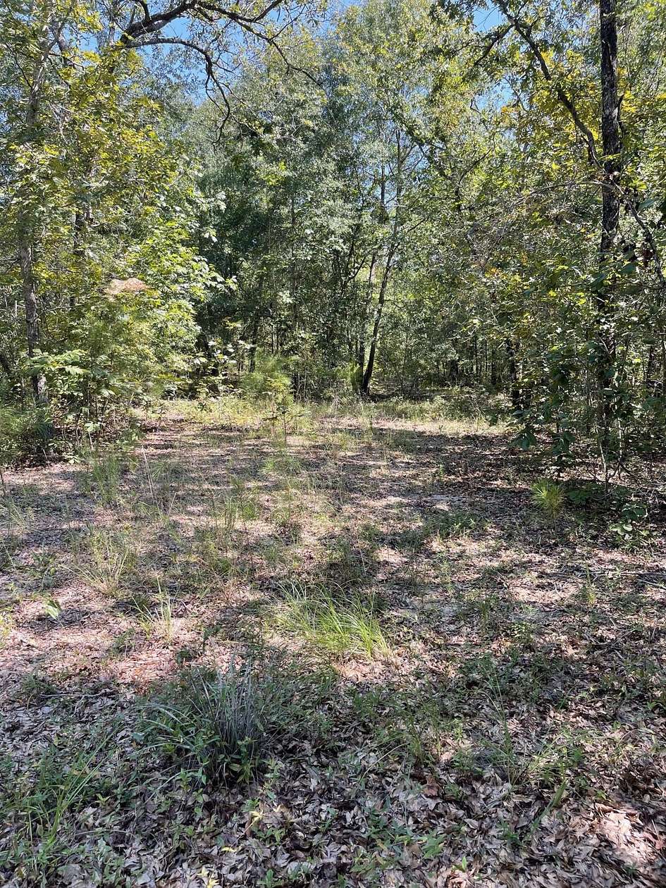 9.66 Acres of Residential Land for Sale in Aiken, South Carolina