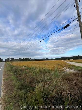 20 Acres of Land for Sale in Red Springs, North Carolina