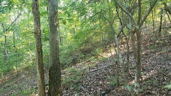 0.65 Acres of Residential Land for Sale in Holladay, Tennessee