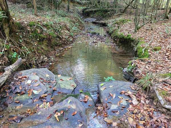 54 Acres of Recreational Land for Sale in Olivehill, Tennessee