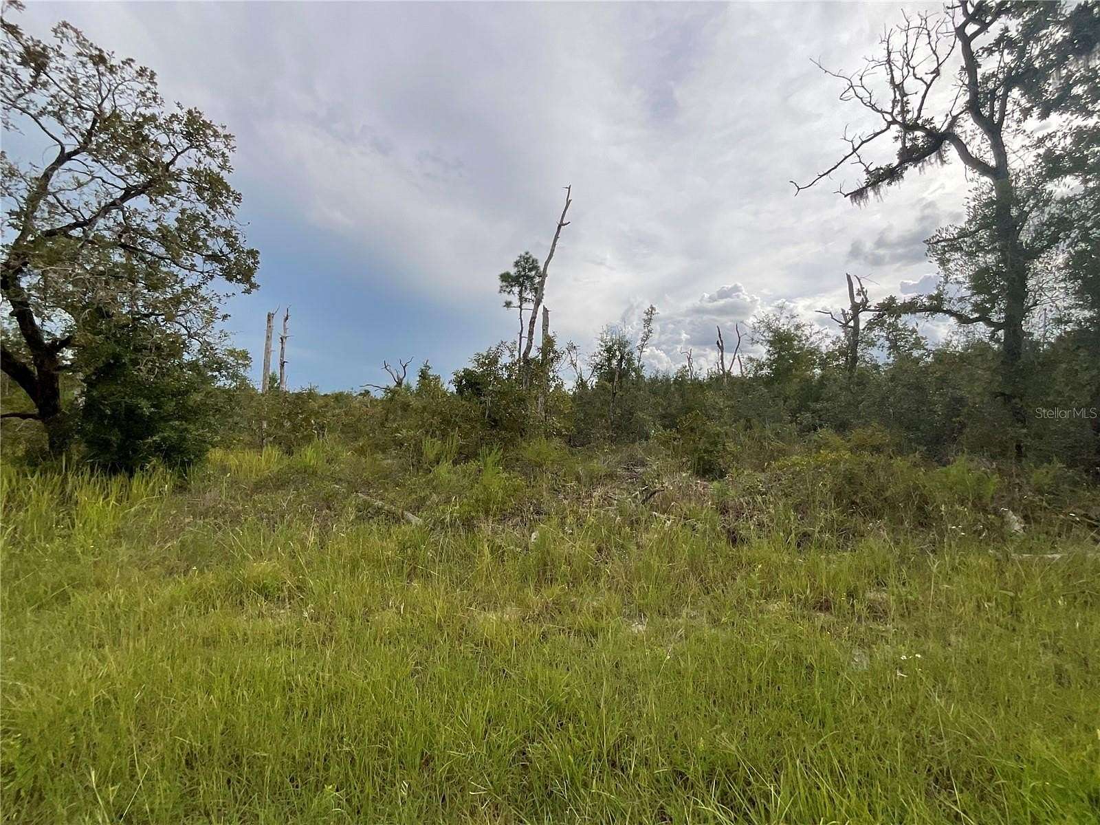 0.47 Acres of Residential Land for Sale in Weeki Wachee, Florida