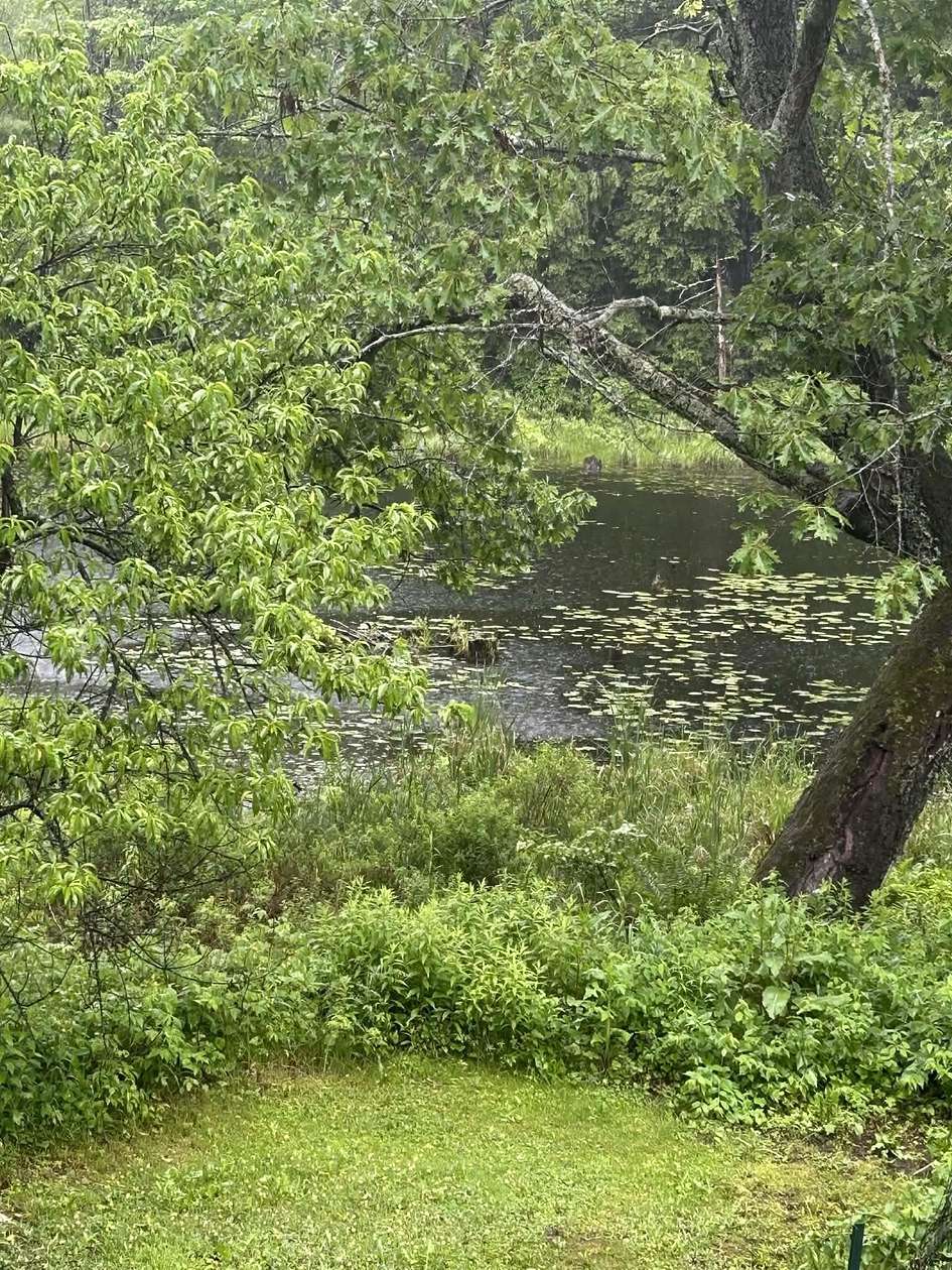 6.88 Acres of Land with Home for Sale in Alton, New Hampshire