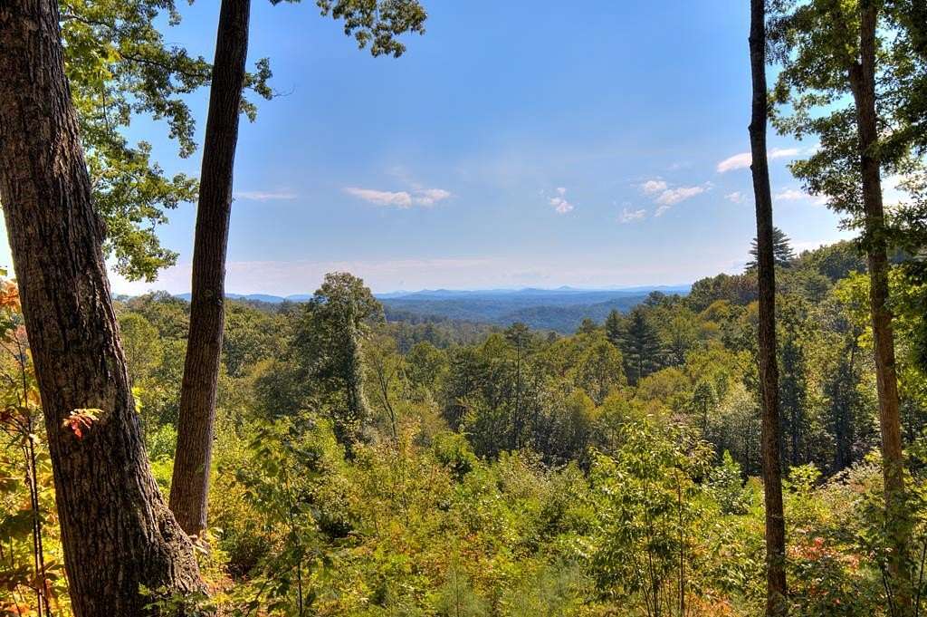 1 Acre of Land for Sale in Blue Ridge, Georgia