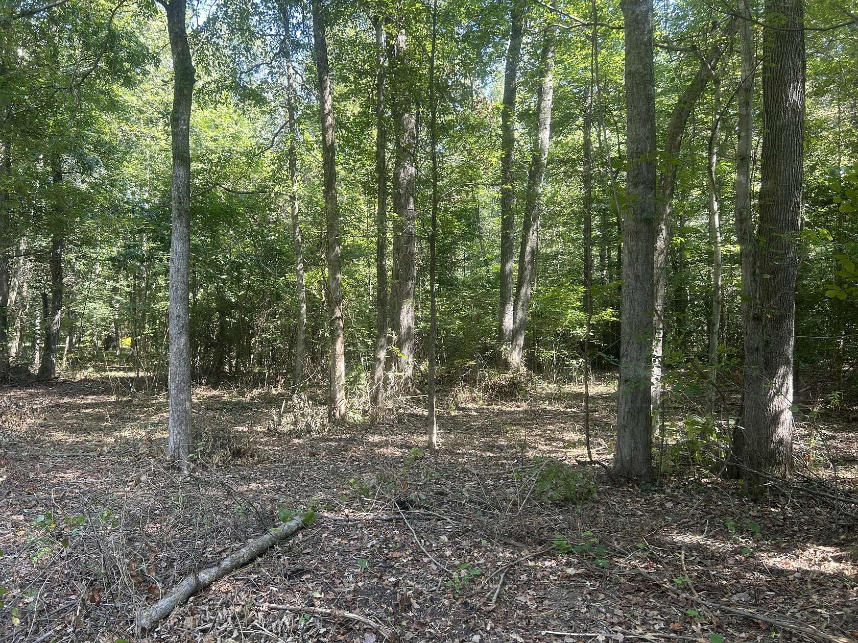 1.6 Acres of Residential Land for Sale in Camden, Tennessee