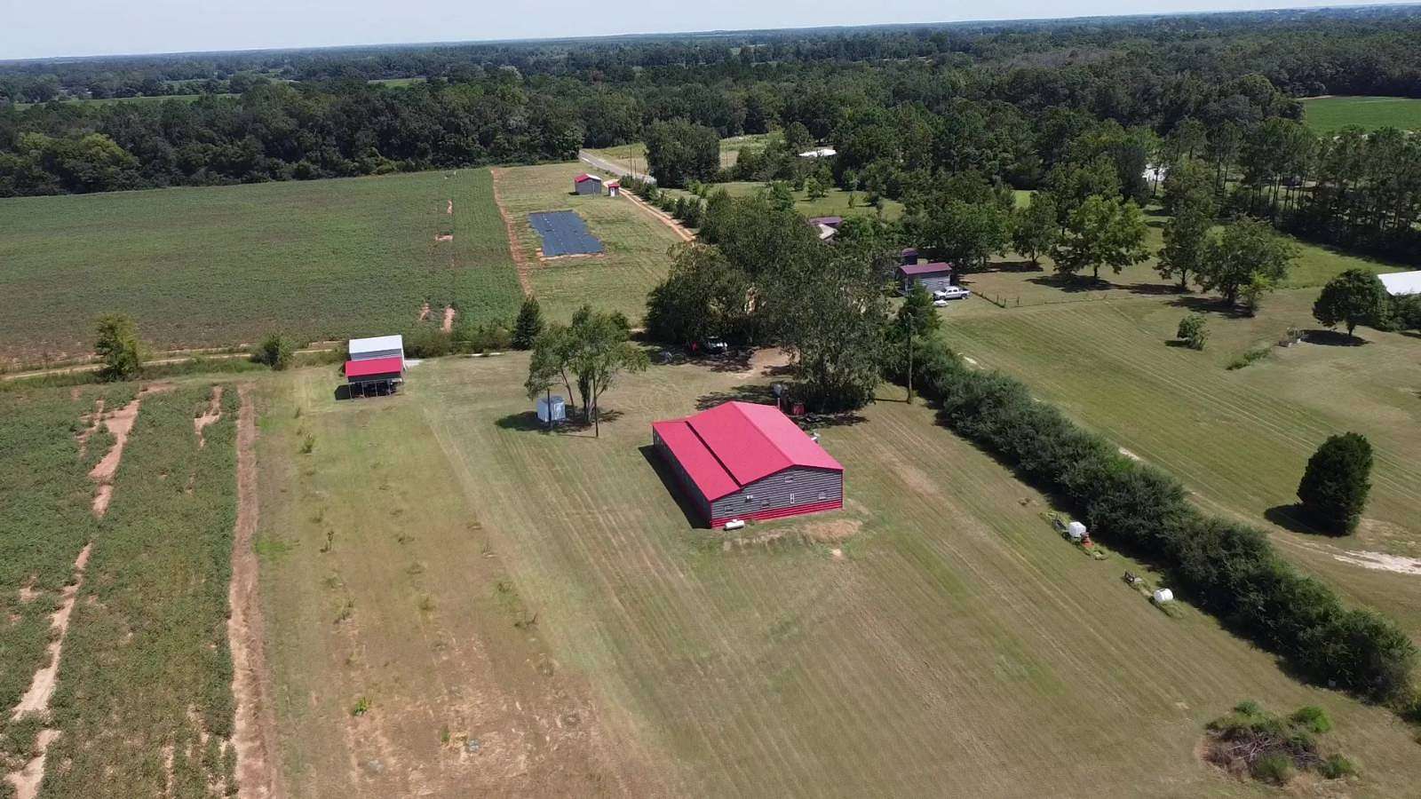 40 Acres of Agricultural & Residential Land for Sale in Campbellton, Florida