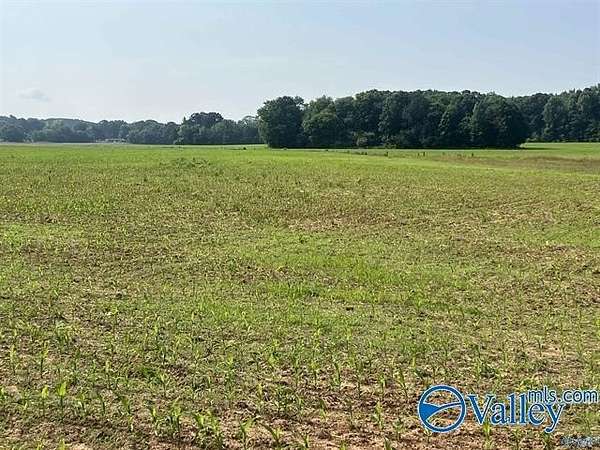 30 Acres of Agricultural & Residential Land for Sale in Harvest, Alabama