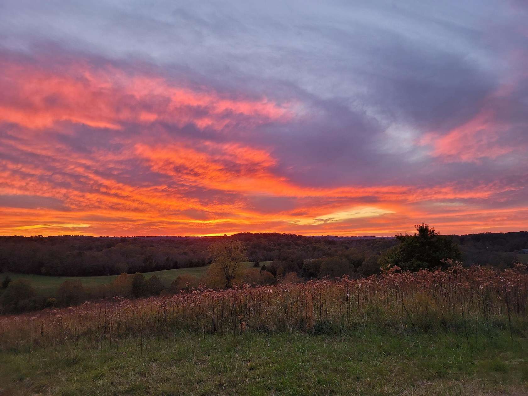 61 Acres of Recreational Land for Sale in Mount Olivet, Kentucky