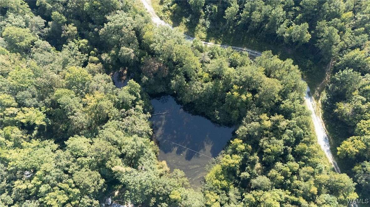 16.8 Acres of Recreational Land for Sale in Centreville, Alabama