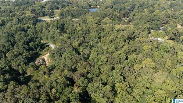 16.8 Acres of Recreational Land for Sale in Centreville, Alabama