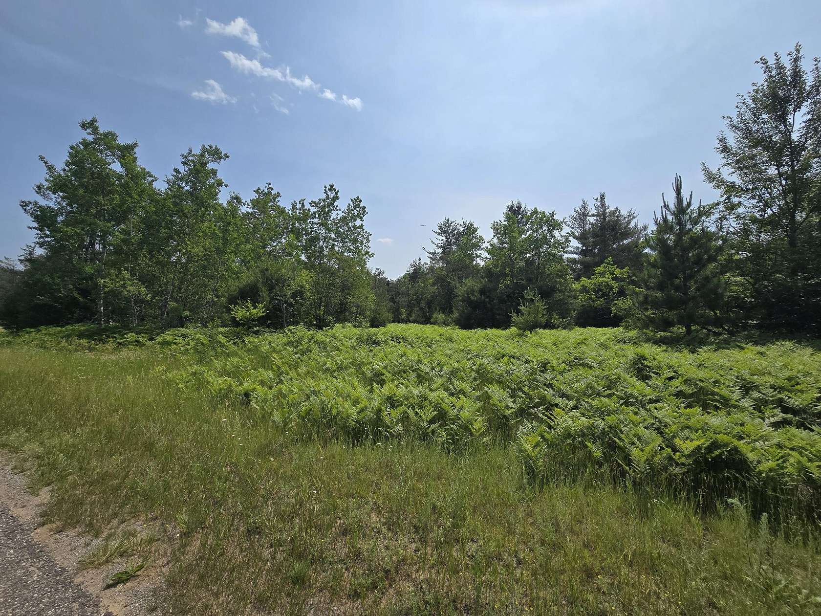 Land for Sale in Mancelona, Michigan