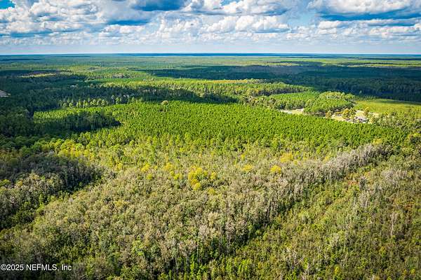 50.6 Acres of Recreational Land for Sale in Sanderson, Florida