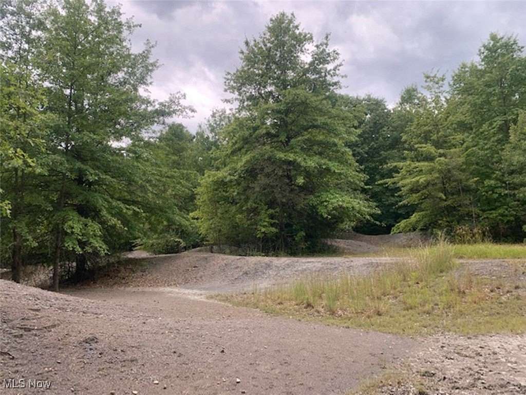 96 Acres of Recreational Land & Farm for Auction in North Lima, Ohio