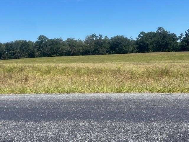 5 Acres of Residential Land for Sale in Bell, Florida