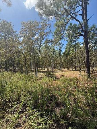 1 Acre of Residential Land for Sale in Dunnellon, Florida