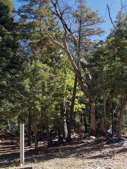 0.33 Acres of Residential Land for Sale in Idyllwild, California