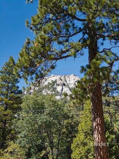 0.33 Acres of Residential Land for Sale in Idyllwild, California