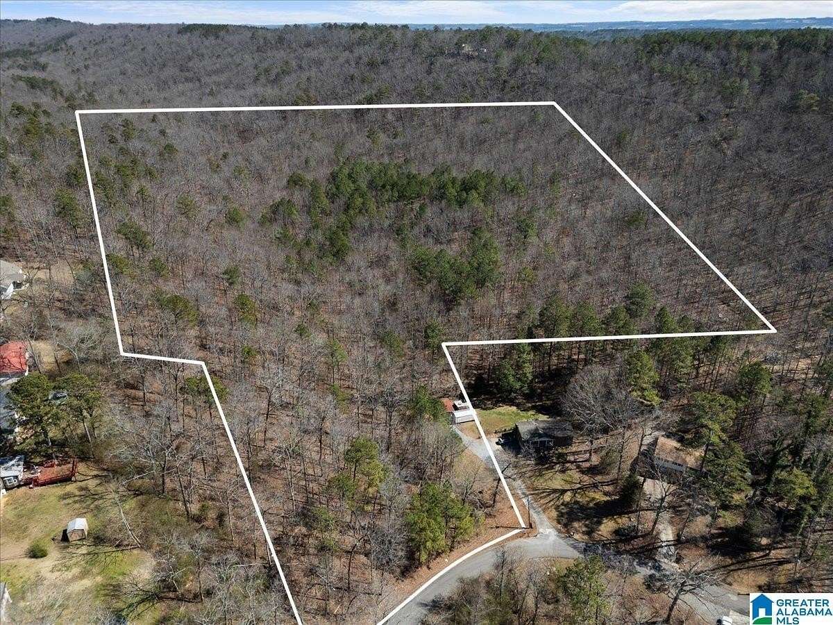 21.6 Acres of Land for Sale in Oneonta, Alabama