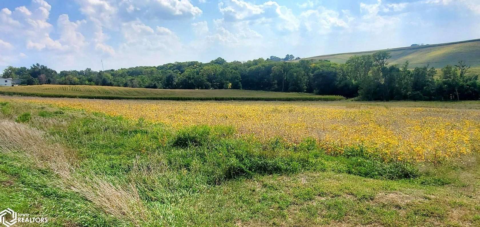 0.72 Acres of Residential Land for Sale in Denison, Iowa