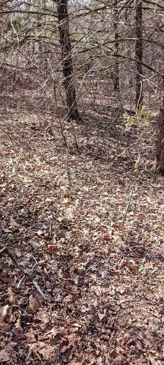 0.06 Acres of Land for Sale in Theodosia, Missouri