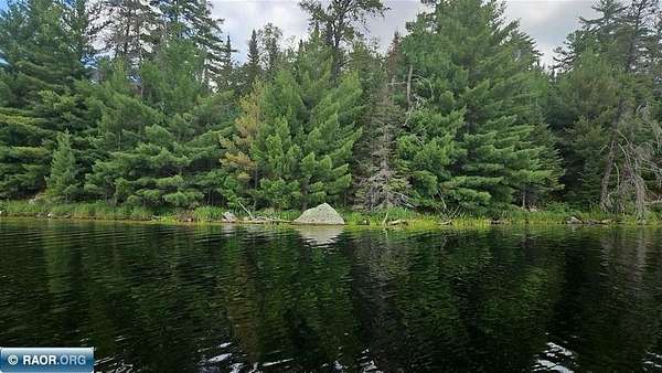 4.6 Acres of Land for Sale in Orr, Minnesota