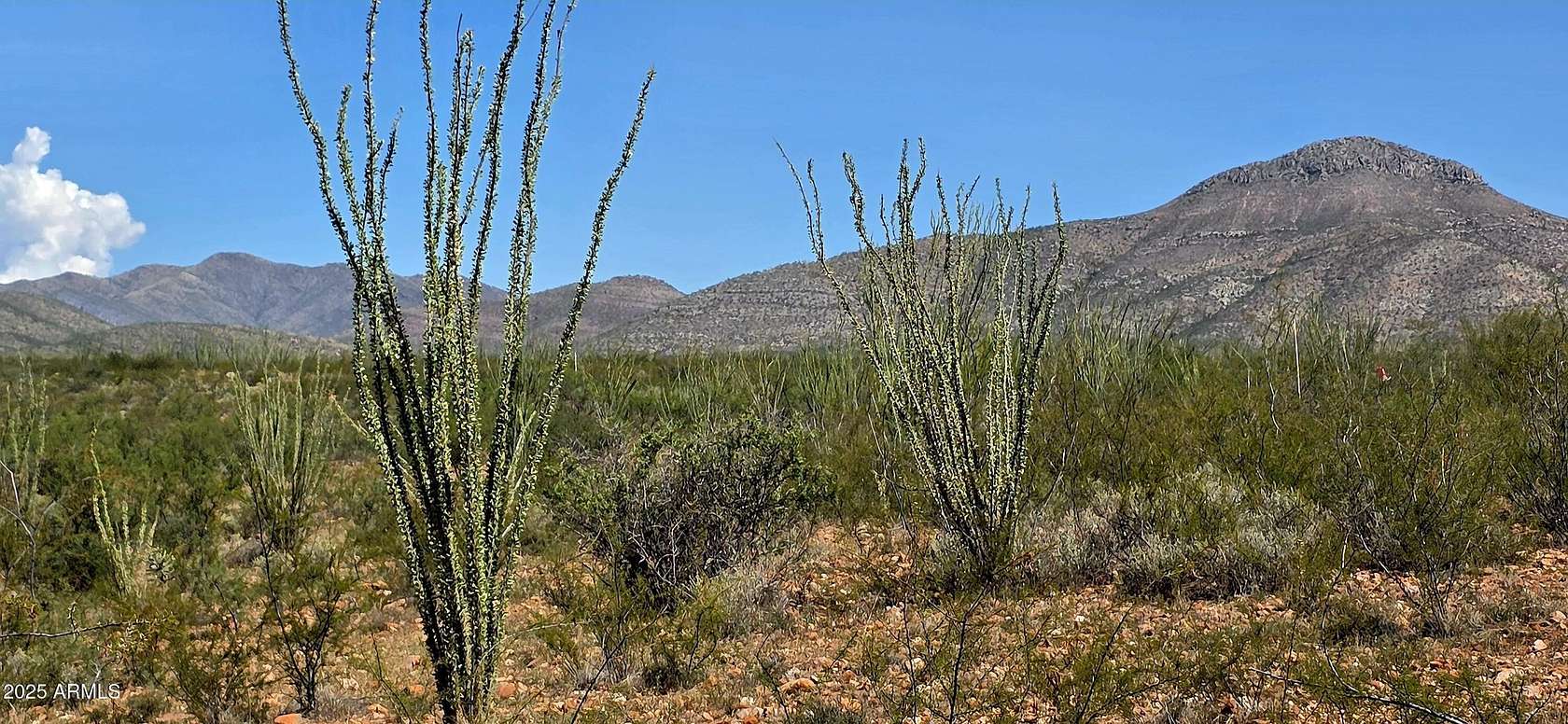 7.17 Acres of Land for Sale in Bisbee, Arizona