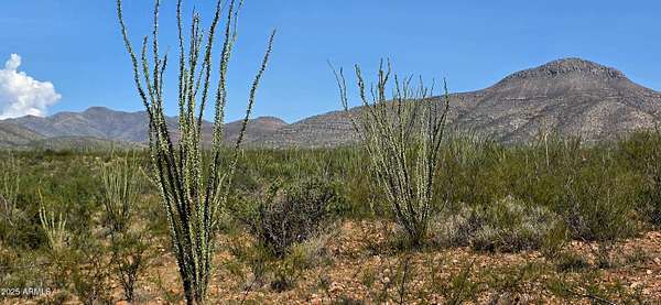 7.17 Acres of Land for Sale in Bisbee, Arizona