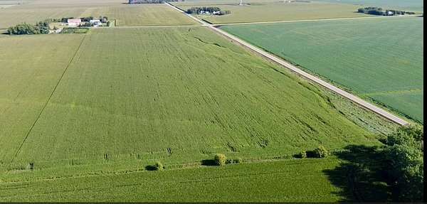 67.2 Acres of Agricultural Land for Sale in Brownsdale, Minnesota