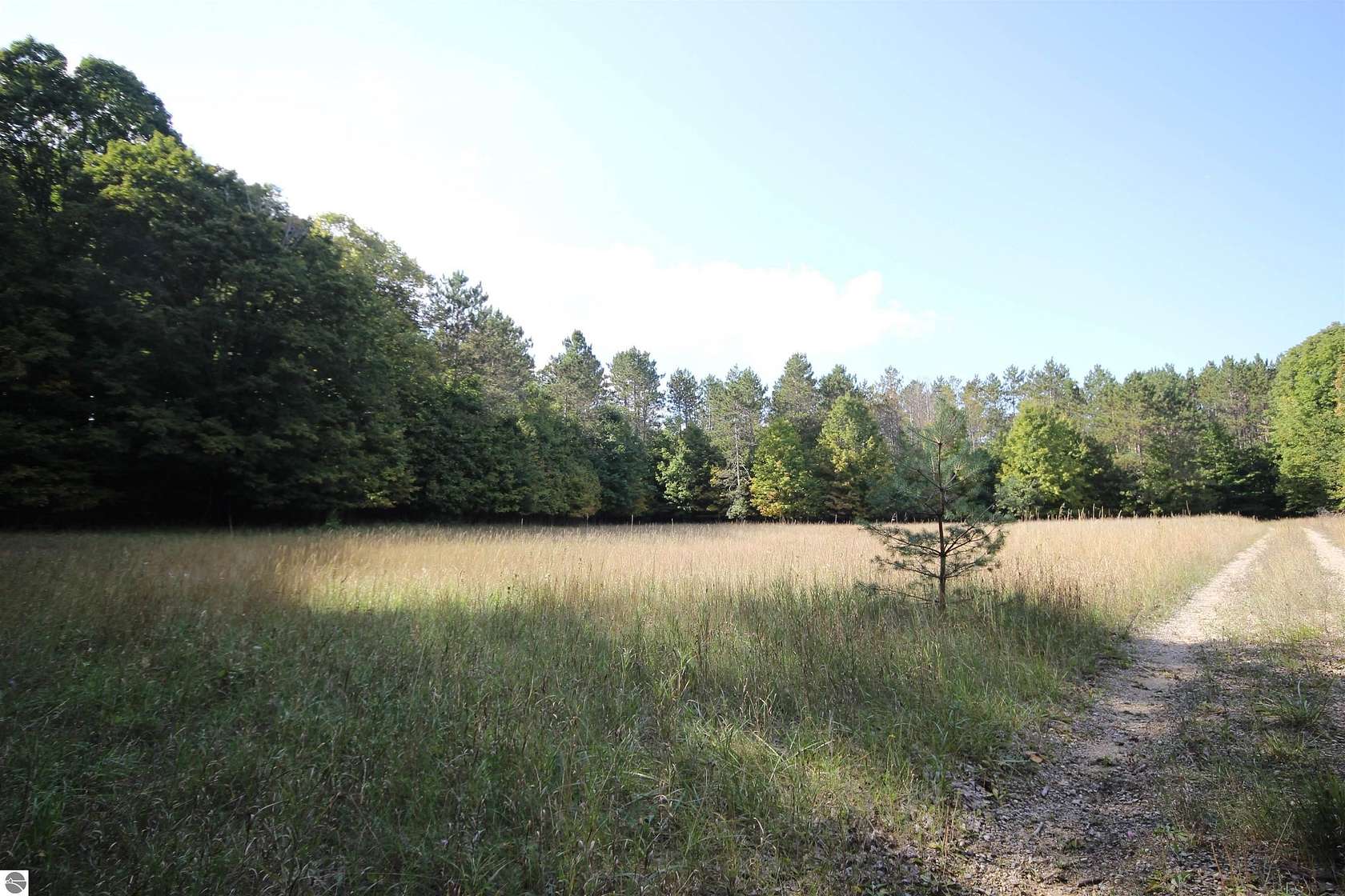 78.1 Acres of Recreational Land for Sale in Kingsley, Michigan