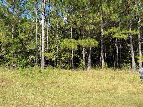 5.32 Acres of Land for Sale in Pelham, Georgia